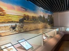 -陕西自然博物馆