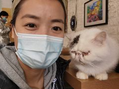 -平行世界·猫咖(首经贸店)