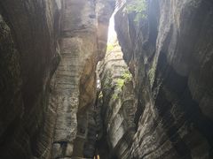 -梭布垭石林景区