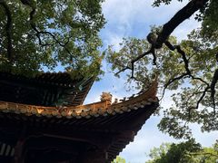 -普陀山雷迪森庄园