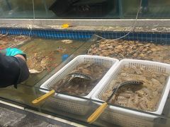 -一方渔歌蒸汽海鲜自助(文化路万达广场店)