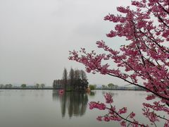 -无锡蠡湖国家湿地公园-蠡园