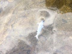 -浙北大峡谷