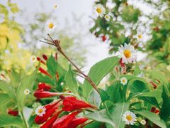 景点-南海子公园