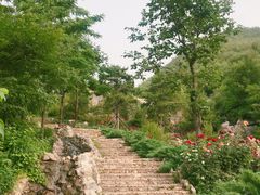 -静之湖湖畔餐厅