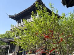 -无锡蠡湖国家湿地公园-蠡园