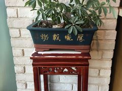 -菩提树·素食餐厅(汇智国际商业中心店)