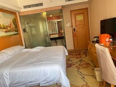 -维也纳智好酒店(深圳罗湖口岸国贸火车站店)