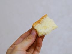-吴记·吴酥生PASTRY宫廷酥饼