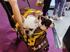 -东浩兰生上海世博展览馆