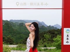 -王莽岭风景区
