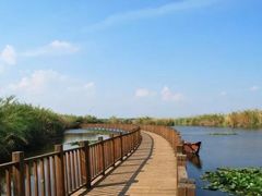 -五甲塘生态湿地公园