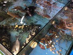 水产区-七鲜渔港美食餐厅(巽寮湾海景店)