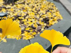 -龙华素斋(龙华路店)