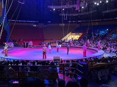 -俄罗斯国家大马戏团