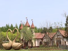 -东平国家森林公园