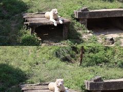-宁波野生动物园