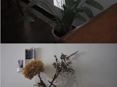 -素咫咖啡CLIFEROSE