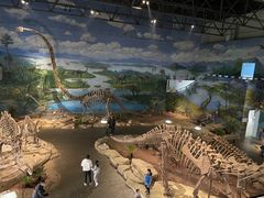 -自贡恐龙博物馆