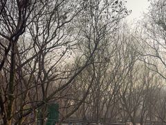 -西湖风景区-江洋畈生态公园