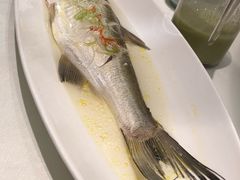 -苏帮袁Sue Cuisine(将台店)