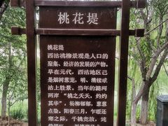 -桃花堤公园