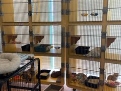 -瑞派申生动物医院·24H夜诊·国际动物医疗中心·骨外科(吴中路店)