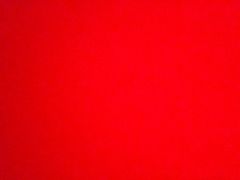 奶酥条-上海哈尔滨食品厂(淮海中路店)