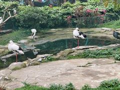 -南宁市动物园
