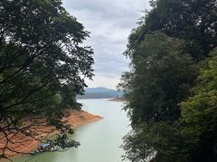 -广州市流溪河国家森林公园