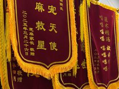 -瑞鹏宠物医院·骨外科·心肾科·肿瘤科(九亭店)