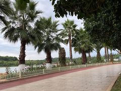 -洛龙公园