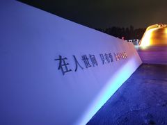 -荷兰花海