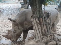 -西安秦岭野生动物园