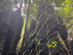 -梭布垭石林景区