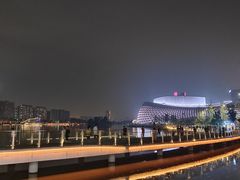 -金沙湖公园