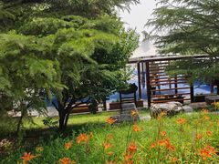 -大兴滨河森林公园