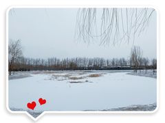 -东郊湿地公园