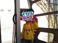 -影汇之星8字形摩天轮