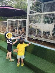 -可可天空农场(中大店)