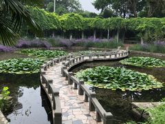 -太子山公园(园东路)