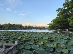 -江心屿景区