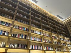 -深影国际影城(学院南路店CGS中国巨幕店)