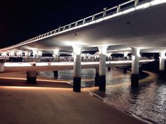 -演武大桥观景平台