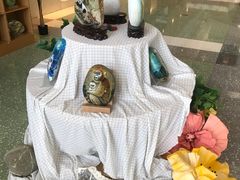 -西安电影制片厂