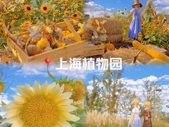 -上海植物园-4号门售票处