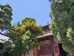 -洛阳白马寺
