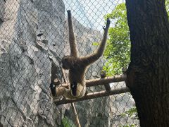 -武汉动物园