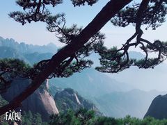 -黄山风景区