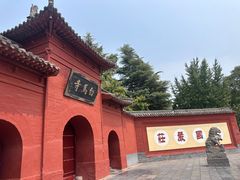 -洛阳白马寺